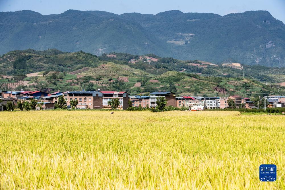 讯博国际是什么平台